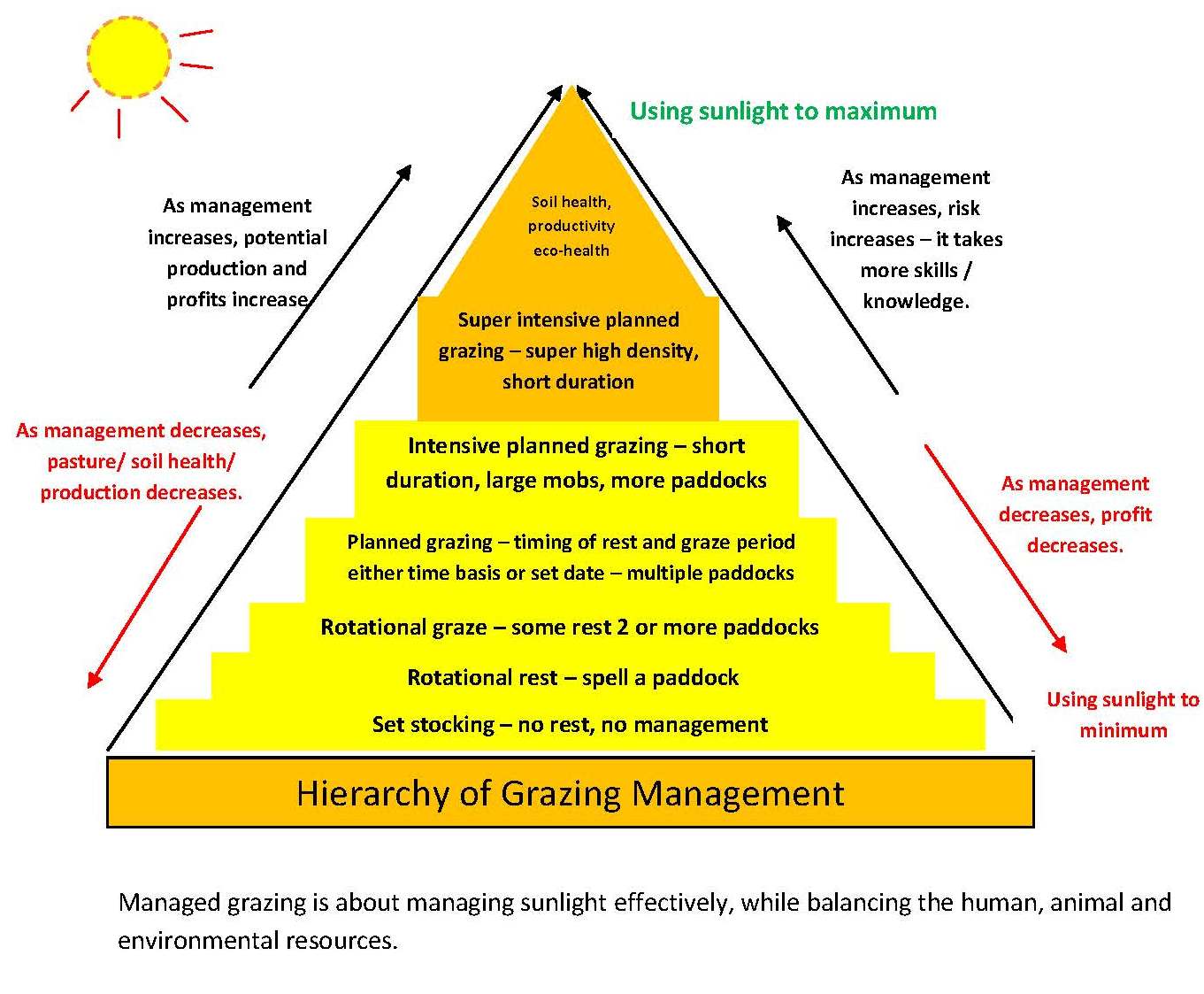 grazing hierarchy